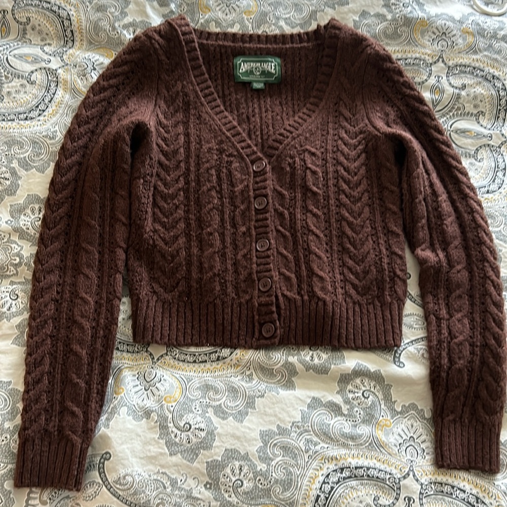 American Eagle Brown cardigan